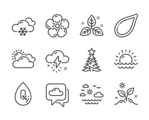 Set of Nature icons, such as Fair trade, Sunset, Weather forecast, No alcohol, Natural linen, Sunny weather, Pumpkin seed, Grow plant, Christmas tree, Travel sea line icons. Leaf, Cloudy. Vector