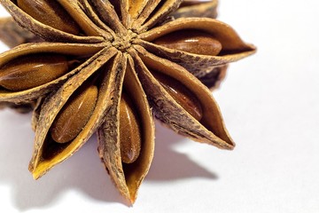 Macro detail of star anise spice isolated. Spices and condiments.