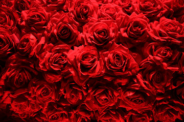 Luxurious bouquet of red roses. Close-up photo of fresh flowers. Floral background composition on the subject of St. Valentine’s day, wedding, holiday or festive event.