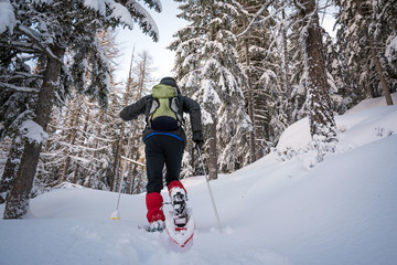 winter trekking in a beautiful sunny day. Gran Paradiso National Park, Italy