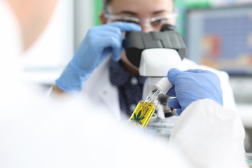 Experiment on cannabis in lab