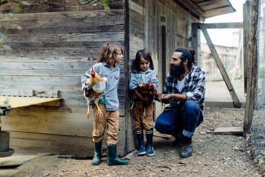 Father with two kids in chicken coop on an organic farm