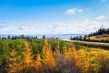 Rural Roadside Landscape View in Autumn