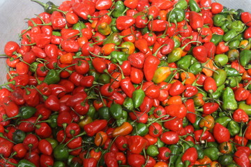PIMIENTOS