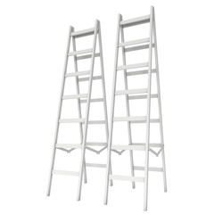 Step ladder. 3d render isolated on white