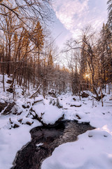 winter landscape with river and trees