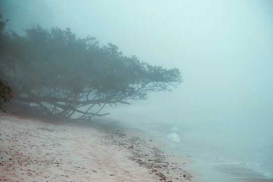 Seascape