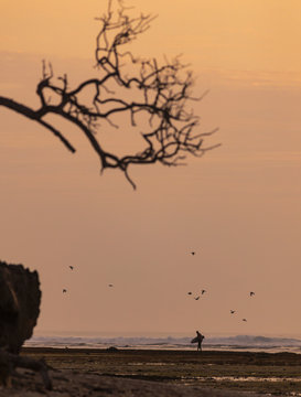 Surfer at the beach