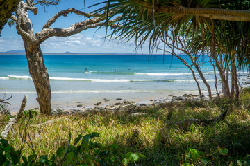 the beautiful beach of Noosa on the sunshine coast in Australia with beautiful weather and blue sky with white clouds