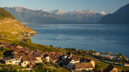 Fototapeta na wymiar Vineyards of Lavaux at Lake Geneva, Switzerland