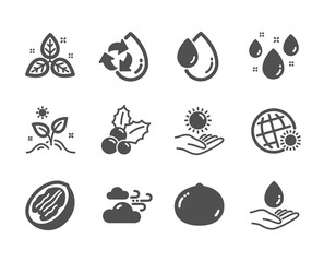 Set of Nature icons, such as Windy weather, Pecan nut, Rainy weather, Sun protection, Macadamia nut, Fair trade, Oil drop, Water care, Christmas holly, Grow plant, Recycle water. Vector