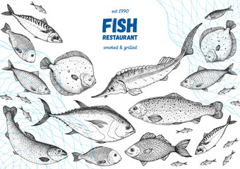 Fish sketch collection. Hand drawn vector illustration. Seafood frame vector illustration. Food menu illustration. Hand drawn salmon, mackerel, sturgeon, flounder, tuna. Engraved style. Engraved fish - obrazy, fototapety, plakaty