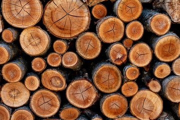 Pile of sawn wood logs for background or texture