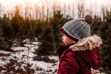 Little boy searching for his perfect Christmas tree on a winter day