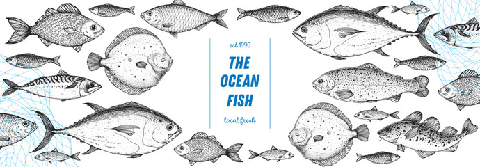 Fish sketch collection. Hand drawn vector illustration. Seafood frame. Food menu illustration. Hand drawn tuna, flounder, cod fish, herring, rainbow trout, mackerel, salmon, perch. Engraved style