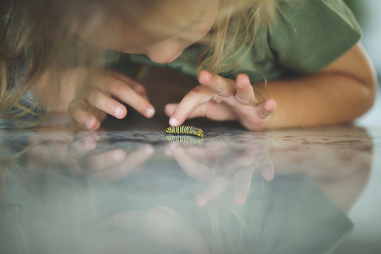 Girl touching caterpillar while reflecting on floor at home