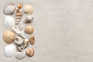 Fototapeta na wymiar Sea shells and coral on the sand