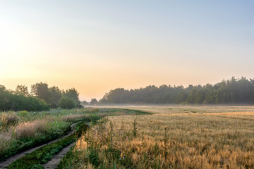 Morning, summer. Pskov region. Russia