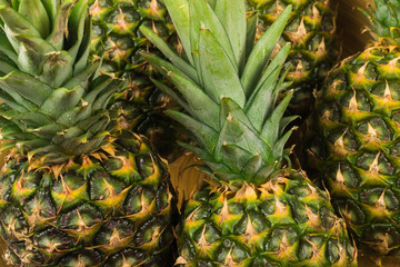 Obraz premium Pineapple in a bowl isolated om white.