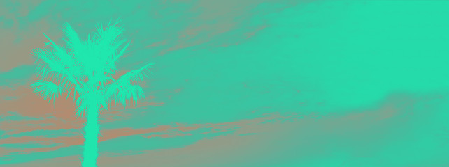 Palm trees against the sky.