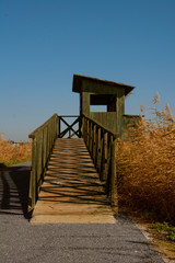 Bird's eye view in the Fuente Piedra Lagoon in Malaga, autumn