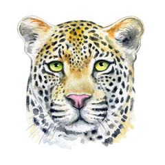 Leopard muzzle isolated on white background. Watercolor. Illustration. Template. Hand drawing.  Close-up. Clip art. Hand drawn. Hand painted.