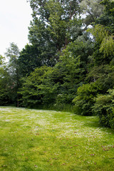 View of flowers, trees and grass field at Vondelpark in Amsterdam. It is a public urban park of 47 hectares. It is a summer day.