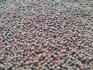 background of pebbles