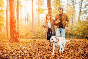 Naklejka na ściany i meble Family and hot autumn drink, couple in love holding cups of tea or coffee and holding hands, walking with golden retriver dog.