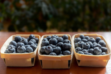 Blueberries lie on the table in portion boxes of birch bark. Delicious and healthy food contains a lot of vitamins. Russia.