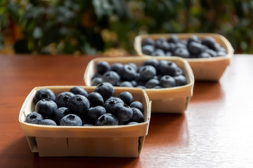 Blueberries lie on the table in portion boxes of birch bark. Delicious and healthy food contains a lot of vitamins. Russia.