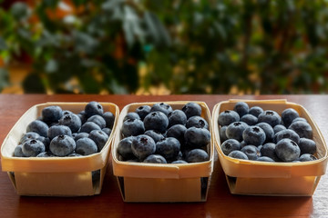 Blueberries lie on the table in portion boxes of birch bark. Delicious and healthy food contains a lot of vitamins. Russia.