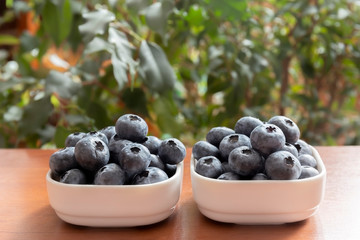 Blueberries lie on the table in portion boxes of birch bark. Delicious and healthy food contains a lot of vitamins. Russia.