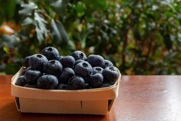 Blueberries lie on the table in portion boxes of birch bark. Delicious and healthy food contains a lot of vitamins. Russia.