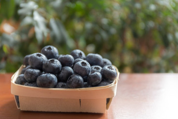 Blueberries lie on the table in portion boxes of birch bark. Delicious and healthy food contains a lot of vitamins. Russia.