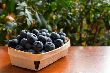 Blueberries lie on the table in portion boxes of birch bark. Delicious and healthy food contains a lot of vitamins. Russia.