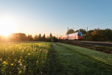 Red train and spring landscape at sunrise. Spring travel context