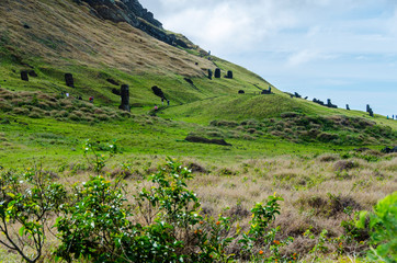 Fototapeta premium Chile - Rapa Nui or Easter Island - Rano Raraku