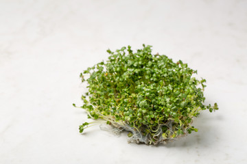 Sprouts of sprouted mustard on a white background