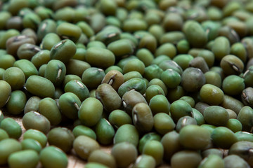 mung bean seeds closeup