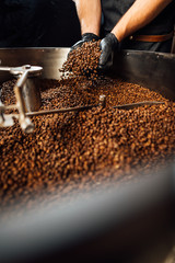 worker took Freshly roasted coffee to check the quality of mixer drum for cooling