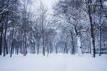 Snow Covered Park at Dusk