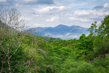 view of mountains