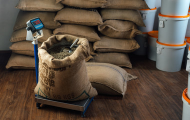 burlap bag with coffee beans and a metal scoop stands on a weighing scale