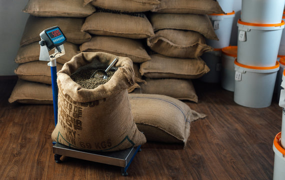 burlap bag with coffee beans and a metal scoop stands on a weighing scale
