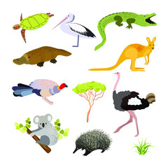 Illustration of birds and animals. Fauna of Australia and Africa.
