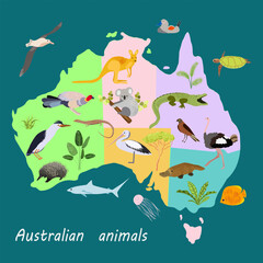 Vector illustration of Australia map with birds and animals. Fauna of the Australian continent. © gala