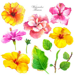 Hibiscus watercolor illustrations set. Pink and yellow floral sketch drawing. Exotic blossom, buds realistic hand drawn cliparts. Tropical flowers with aquarelle texture. Postcard isolated design