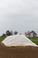 Zuckerrueben unter einer Plane auf einem Feld. Nach der Ernte warten sie auf den Abtransport.