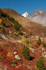 Colorful Autumn Landscape, Switzerland